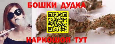 спиды Новозыбков