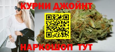 спиды Новозыбков