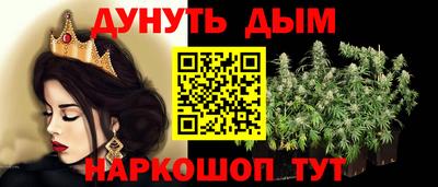 спиды Новозыбков