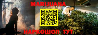 спиды Новозыбков