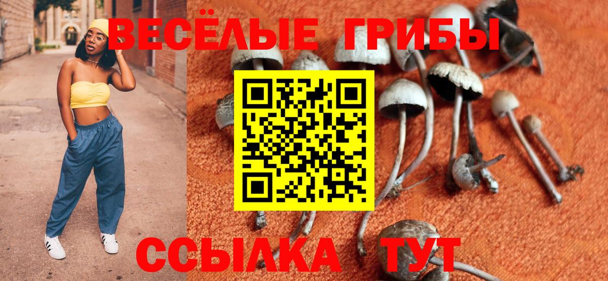 Псилоцибиновые грибы ЛСД Славянск-на-Кубани